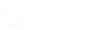 Codex